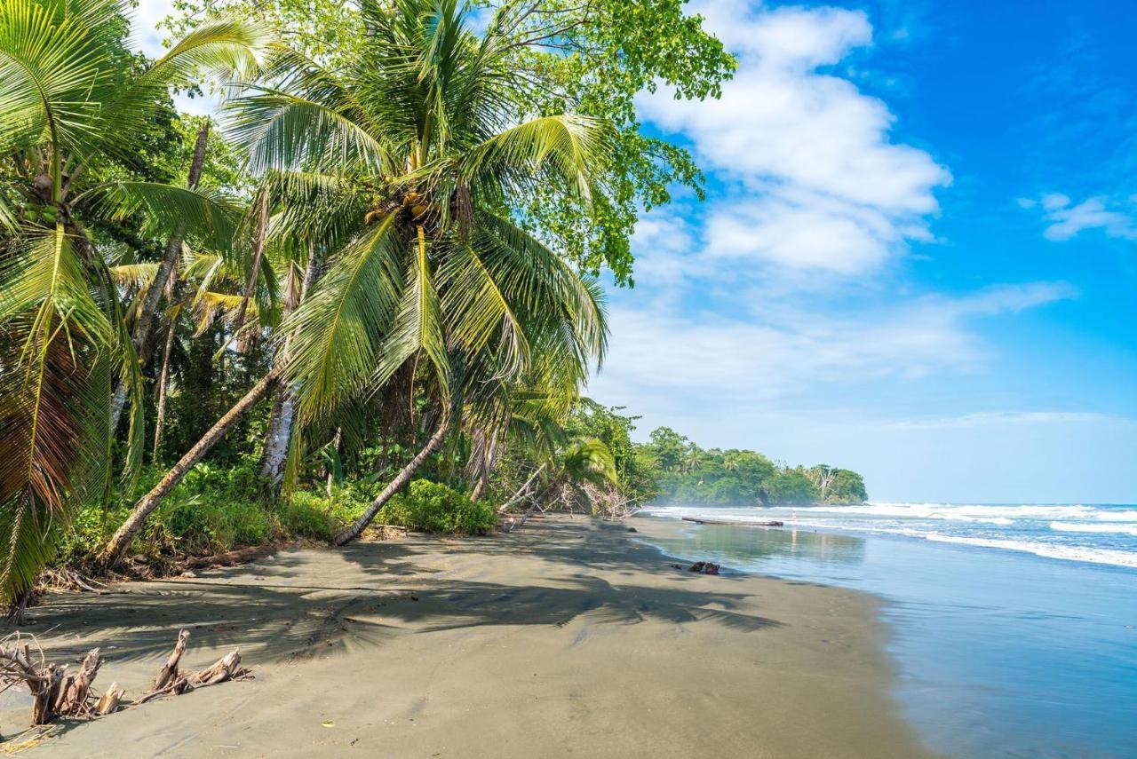 Casa Verde Puerto Viejo de Talamanca ภายนอก รูปภาพ
